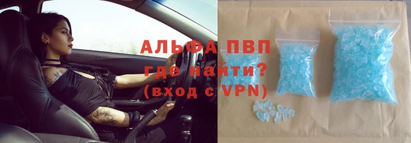 стафф Осташков
