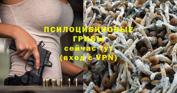 таблы Алексин