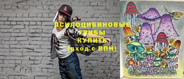 спайс Алзамай