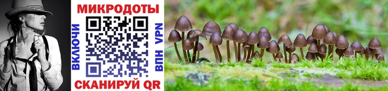 Галлюциногенные грибы GOLDEN TEACHER  Октябрьск 